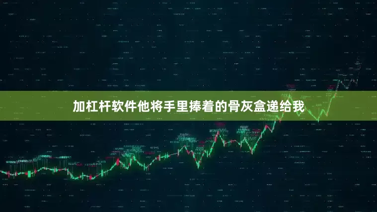 加杠杆软件他将手里捧着的骨灰盒递给我