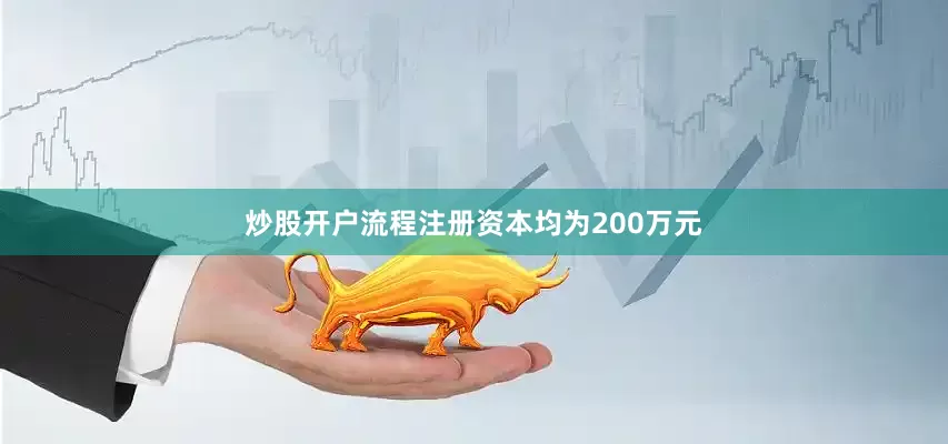 炒股开户流程注册资本均为200万元
