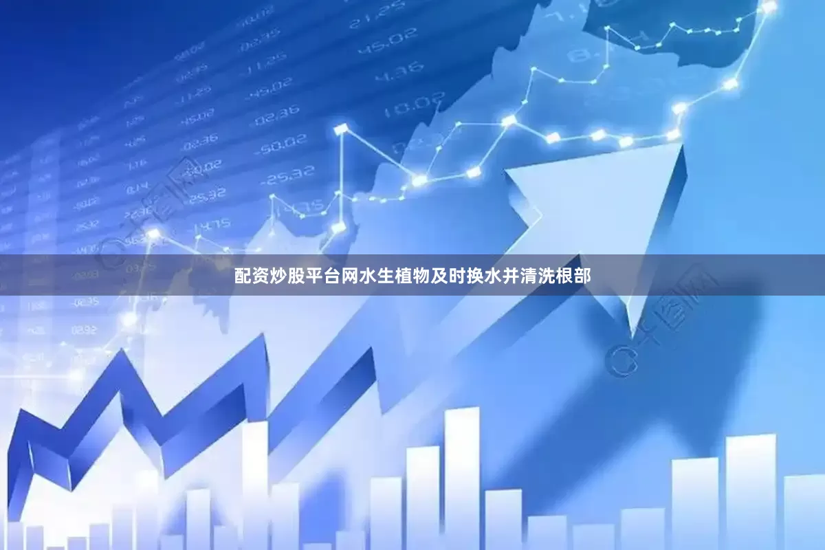 配资炒股平台网水生植物及时换水并清洗根部